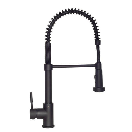 ZLINE Apollo Kitchen Faucet FSNZ-MB-1