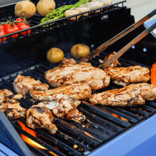 Monument Grills Mesa 200R Series | 2 Burner Propane Gas Grill in Red