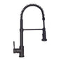 ZLINE Apollo Kitchen Faucet FSNZ-MB-1