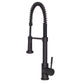 ZLINE Apollo Kitchen Faucet FSNZ-MB-2
