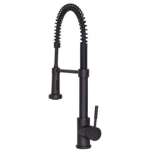 ZLINE Apollo Kitchen Faucet FSNZ-MB-2