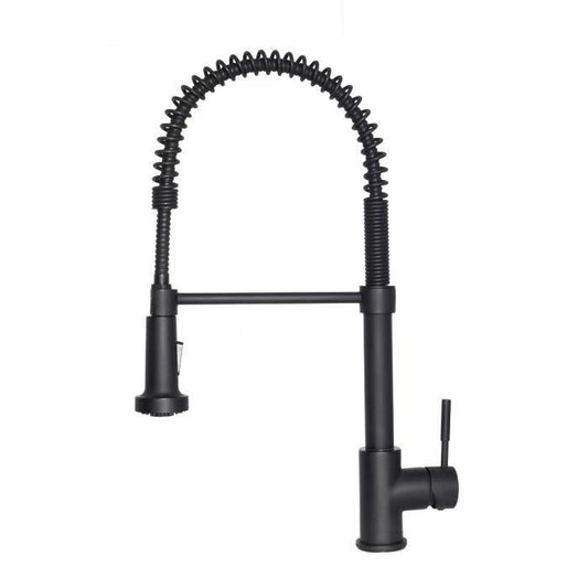 ZLINE Apollo Kitchen Faucet FSNZ-MB