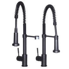 ZLINE Apollo Kitchen Faucet FSNZ-MB-4
