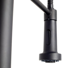ZLINE Apollo Kitchen Faucet FSNZ-MB-5