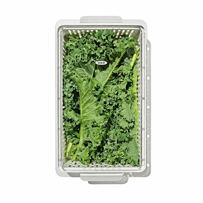 OXO Produce Saver - Medium Bin - image 7