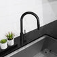 ZLINE Rubicon Pull Down Single Handle Kitchen Faucet in Matte Black, RBCN1-KF-MB - product image 9