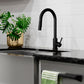 ZLINE Rubicon Pull Down Single Handle Kitchen Faucet in Matte Black, RBCN1-KF-MB - product image 10